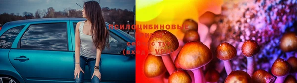 бошки Мегион