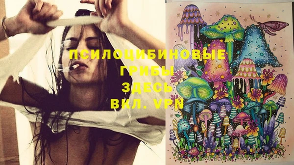 PSILOCYBIN Магас
