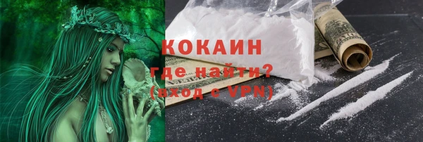 бошки Мегион