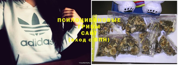 бошки Мегион