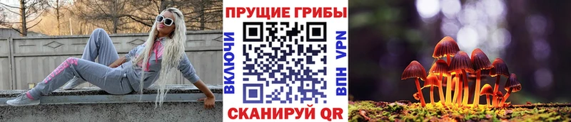 Псилоцибиновые грибы Psilocybine cubensis ссылка на мегу маркетплейс Апшеронск купить