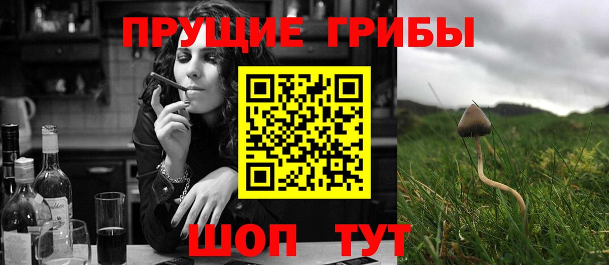 Псилоцибиновые грибы Psilocybe  Апшеронск  купить наркотик  Галлюциногенные грибы мицелий 