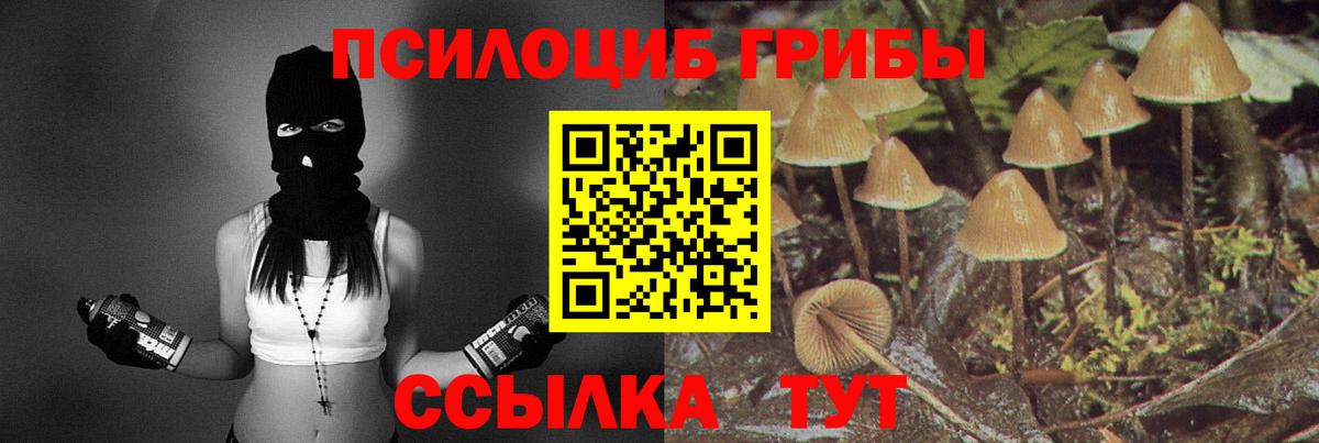 даркнет сайт  Вход с VPN  Апшеронск  Псилоцибиновые грибы прущие грибы 