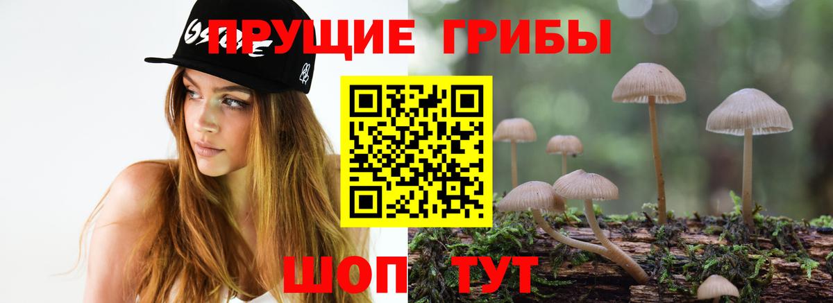 Галлюциногенные грибы ЛСД Апшеронск
