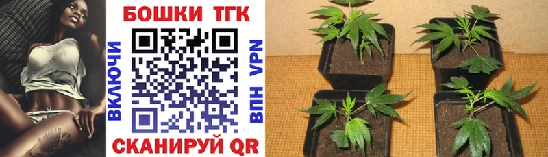 Канабис план  купить  цена  Апшеронск 